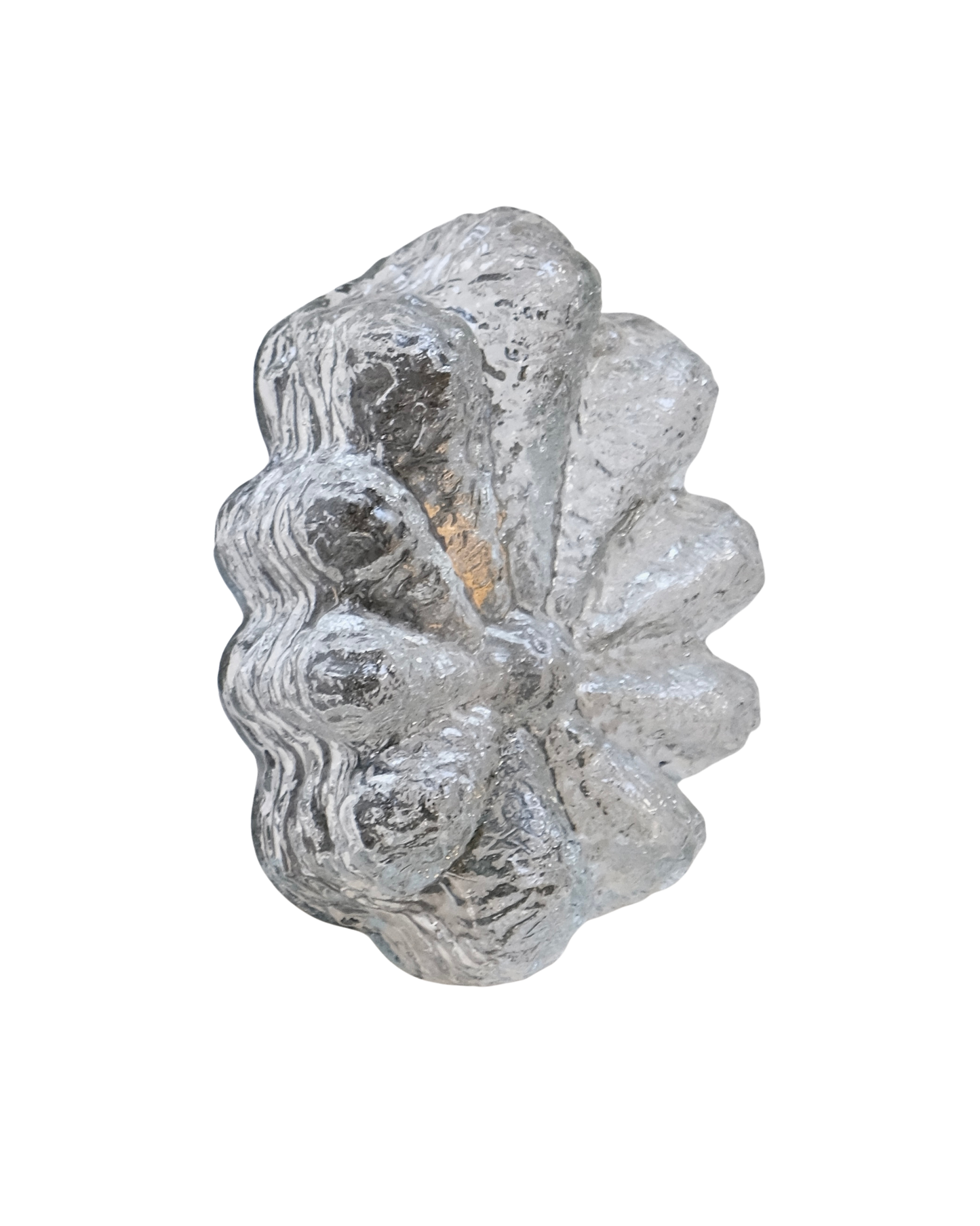 PETITE FLORAL TEXTURED GLASS WALL SCONCES
