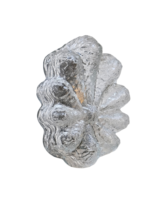 PETITE FLORAL TEXTURED GLASS WALL SCONCES