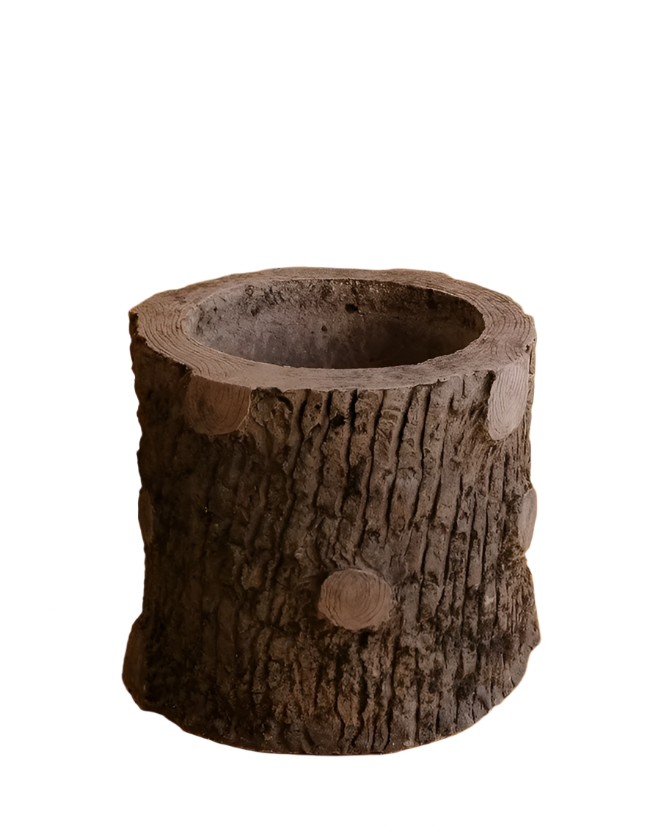 SET OF SIX SCULPTURAL CEMENT TRUNK PLANTERS